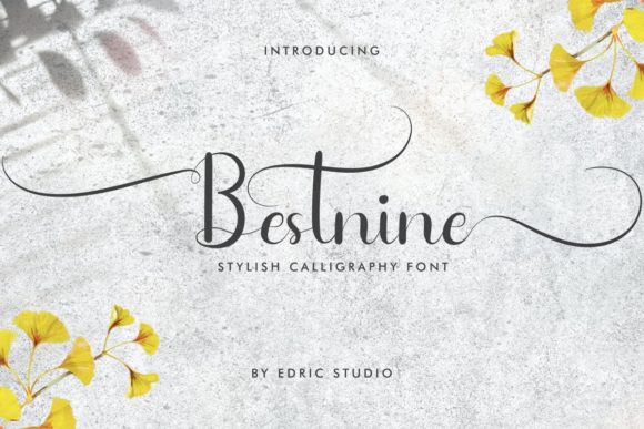 Bestnine Script Font for Elegant Web Design