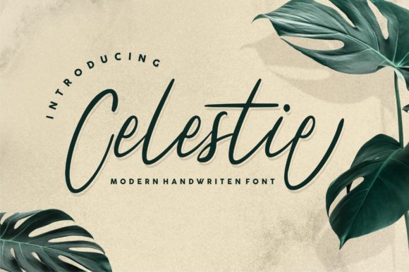 Celestie Font Review