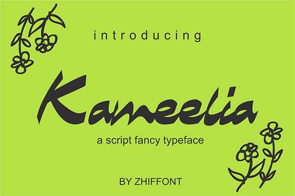 Designing Modern Brand Identity with Kameelia Script Font