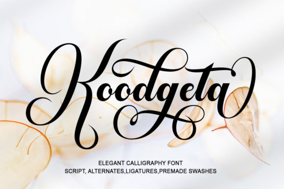 Designing with Koodgeta: A Playful Script Font for Web
