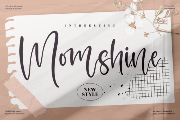 Momshine: A Delicate Script Font for Elegant Editorial Design