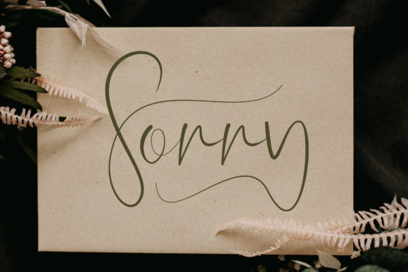 Sorry Font for Web Design